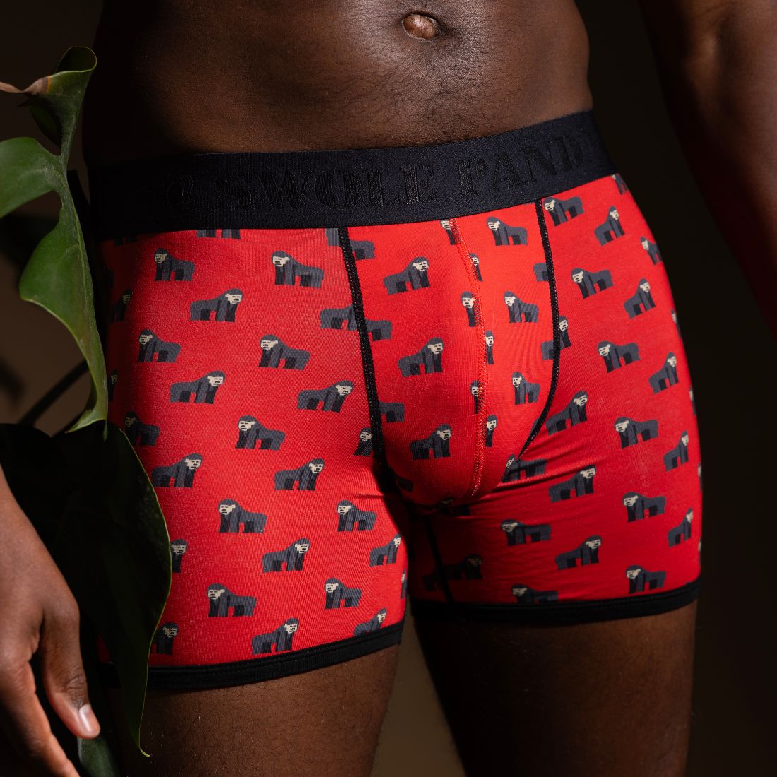 Bamboo Boxers - Gorillas - Panda Food Bamboo Socks