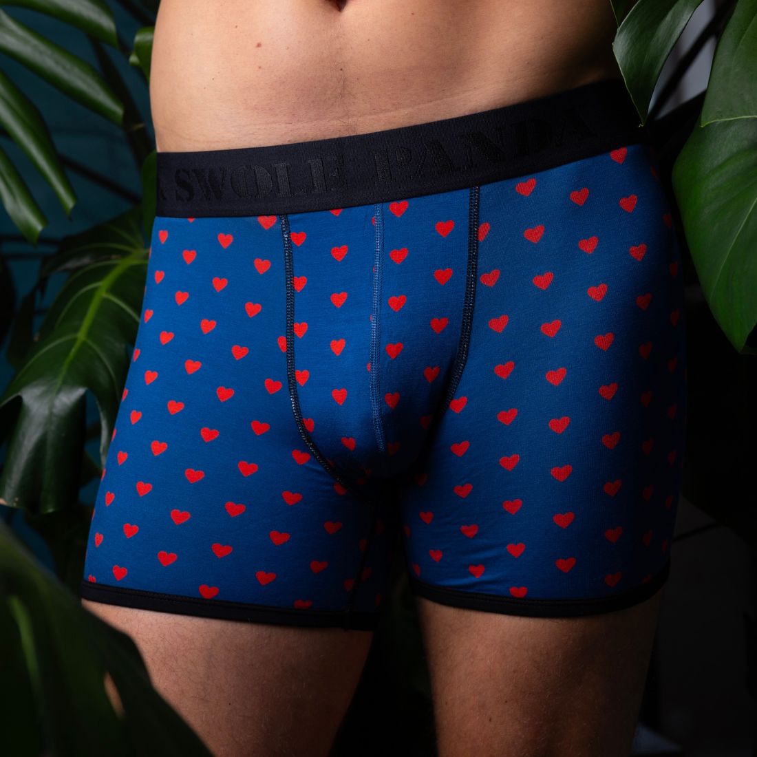 Bamboo Boxers - Hearts - Panda Food Bamboo Socks
