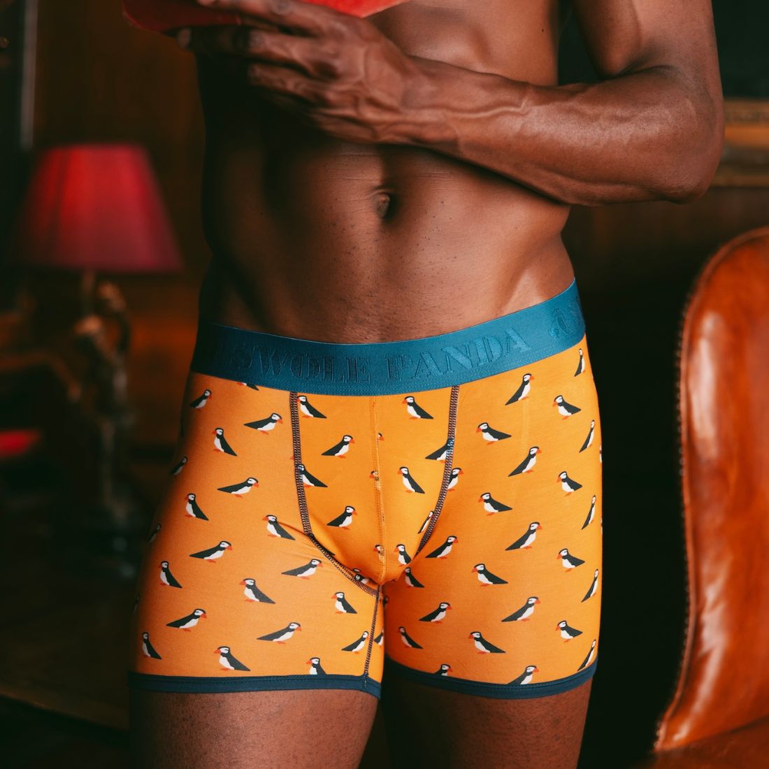 Bamboo Boxers - Puffins - Panda Food Bamboo Socks