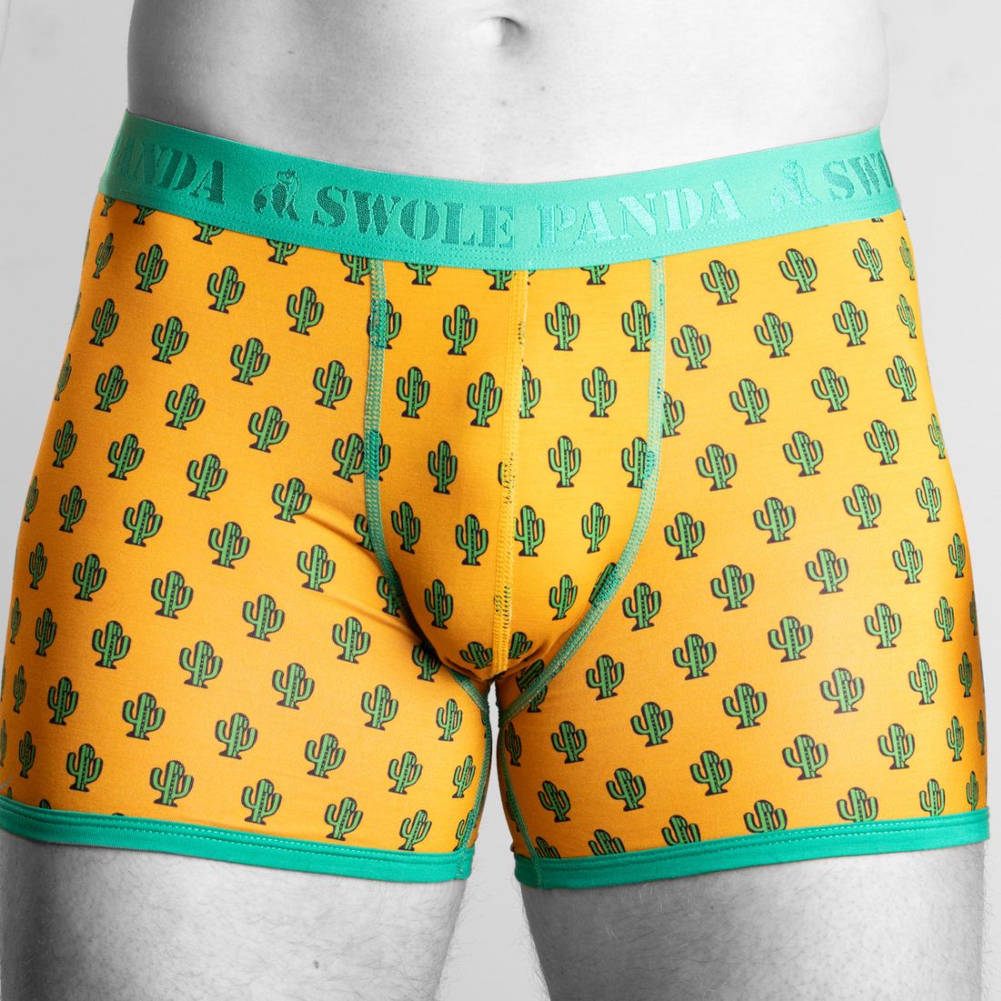 Bamboo Boxers 2 Pack - Bumblebee / Cactus - Panda Food Bamboo Socks