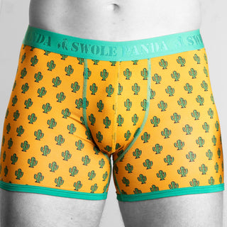 Bamboo Boxers 2 Pack - Bumblebee / Cactus | Panda Food