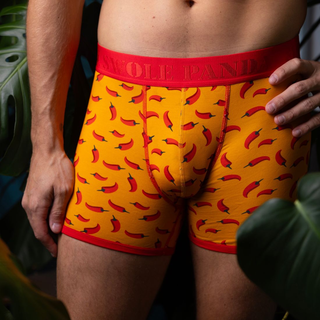 Bamboo Boxers - Chillies - Panda Food Bamboo Socks