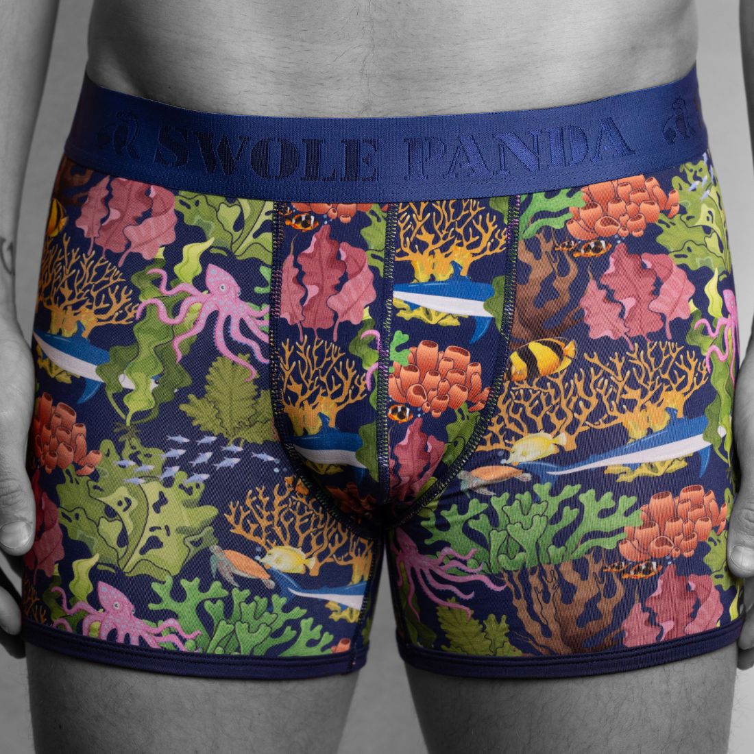 Bamboo Boxers - Marine - Panda Food Bamboo Socks