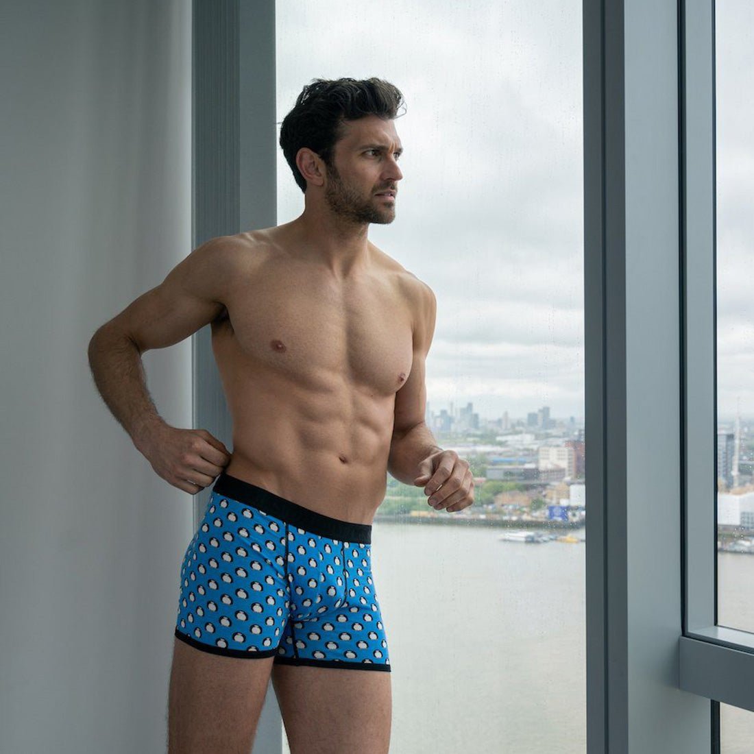 Bamboo Boxers - Penguins - Panda Food Bamboo Socks
