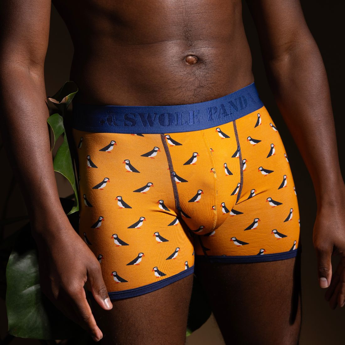 Bamboo Boxers - Puffins - Panda Food Bamboo Socks