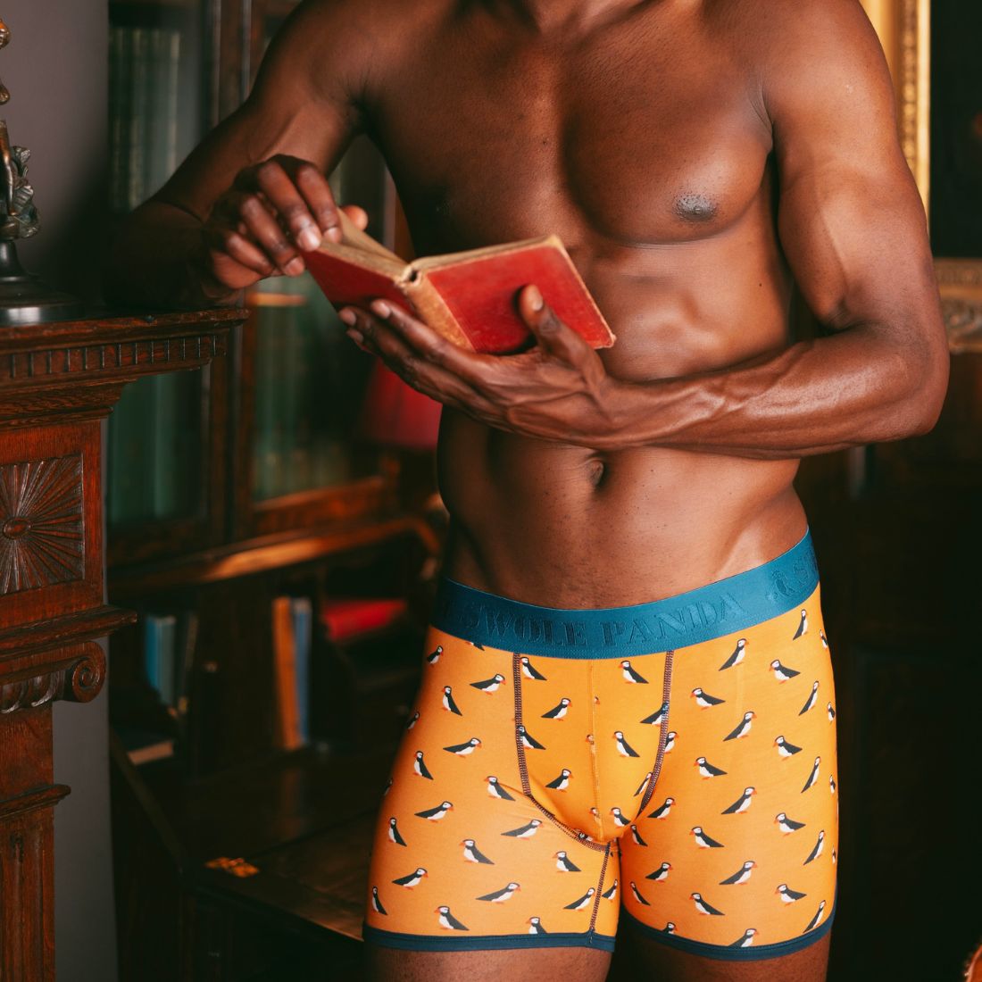 Bamboo Boxers - Puffins - Panda Food Bamboo Socks