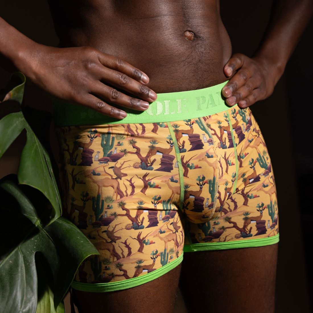 Bamboo Boxers - Savannah - Panda Food Bamboo Socks
