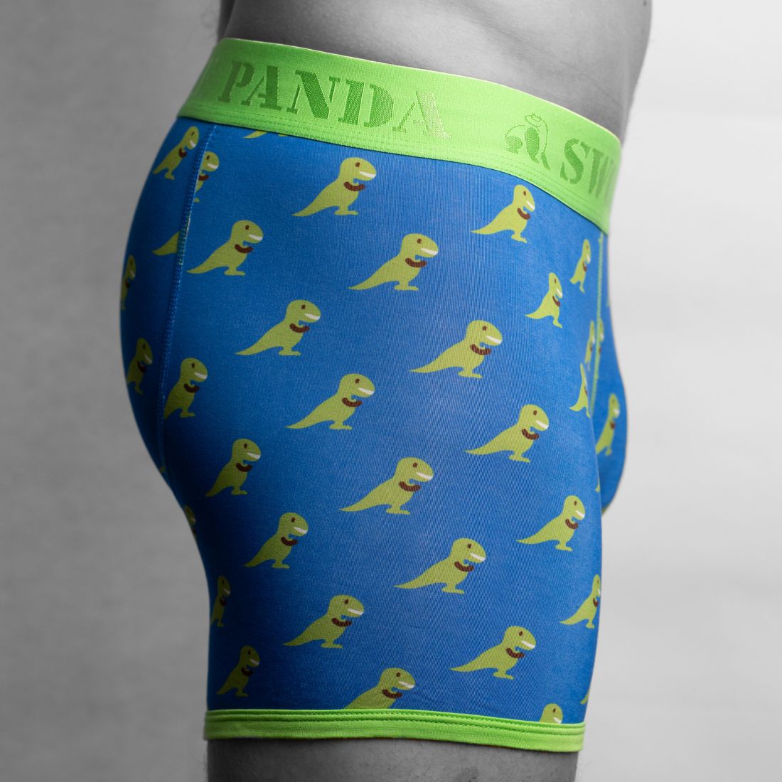Bamboo Boxers - T - Rex - Panda Food Bamboo Socks