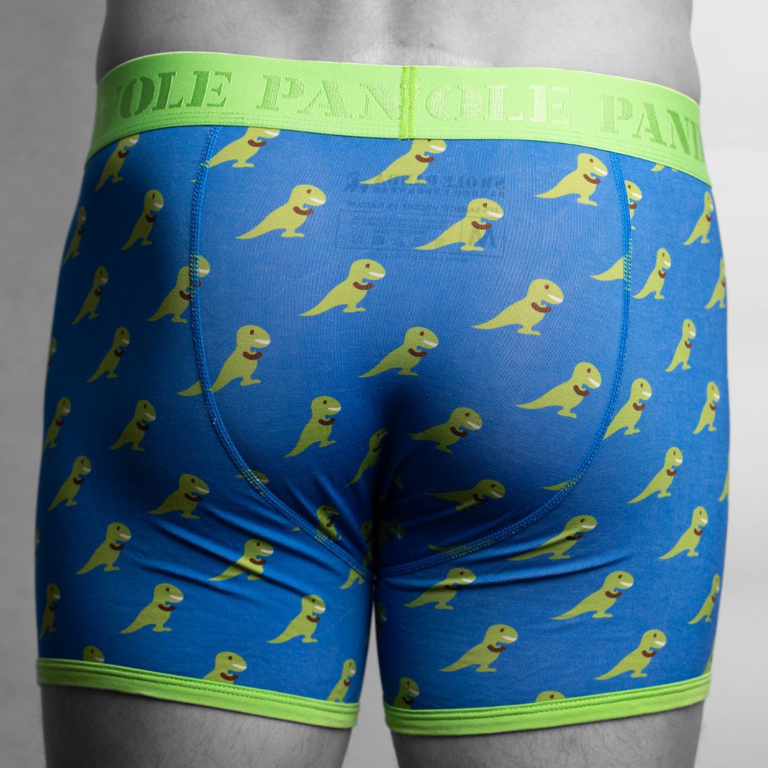 Bamboo Boxers - T - Rex - Panda Food Bamboo Socks