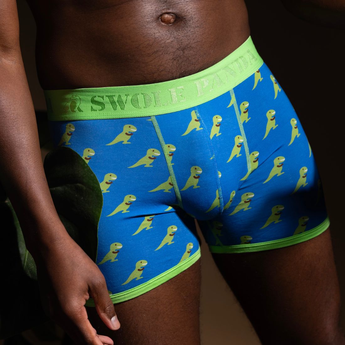 Bamboo Boxers - T - Rex - Panda Food Bamboo Socks